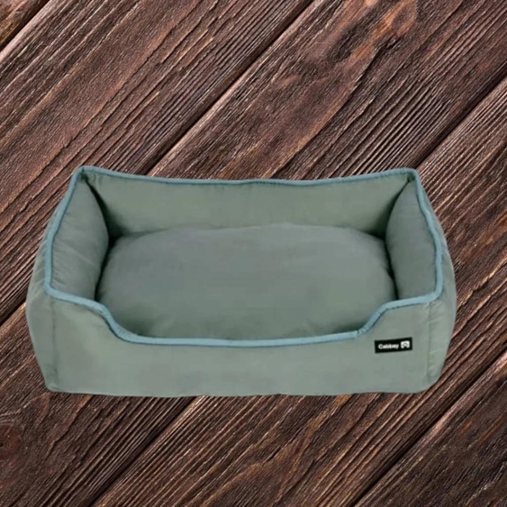 🐾 Dog Bed, New